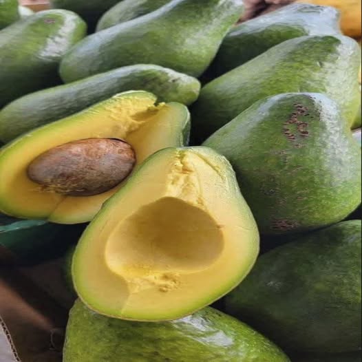Aguacates frescos