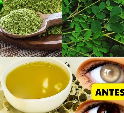 El Poder Oculto de la Moringa: La Maravilla Sencilla de la Naturaleza