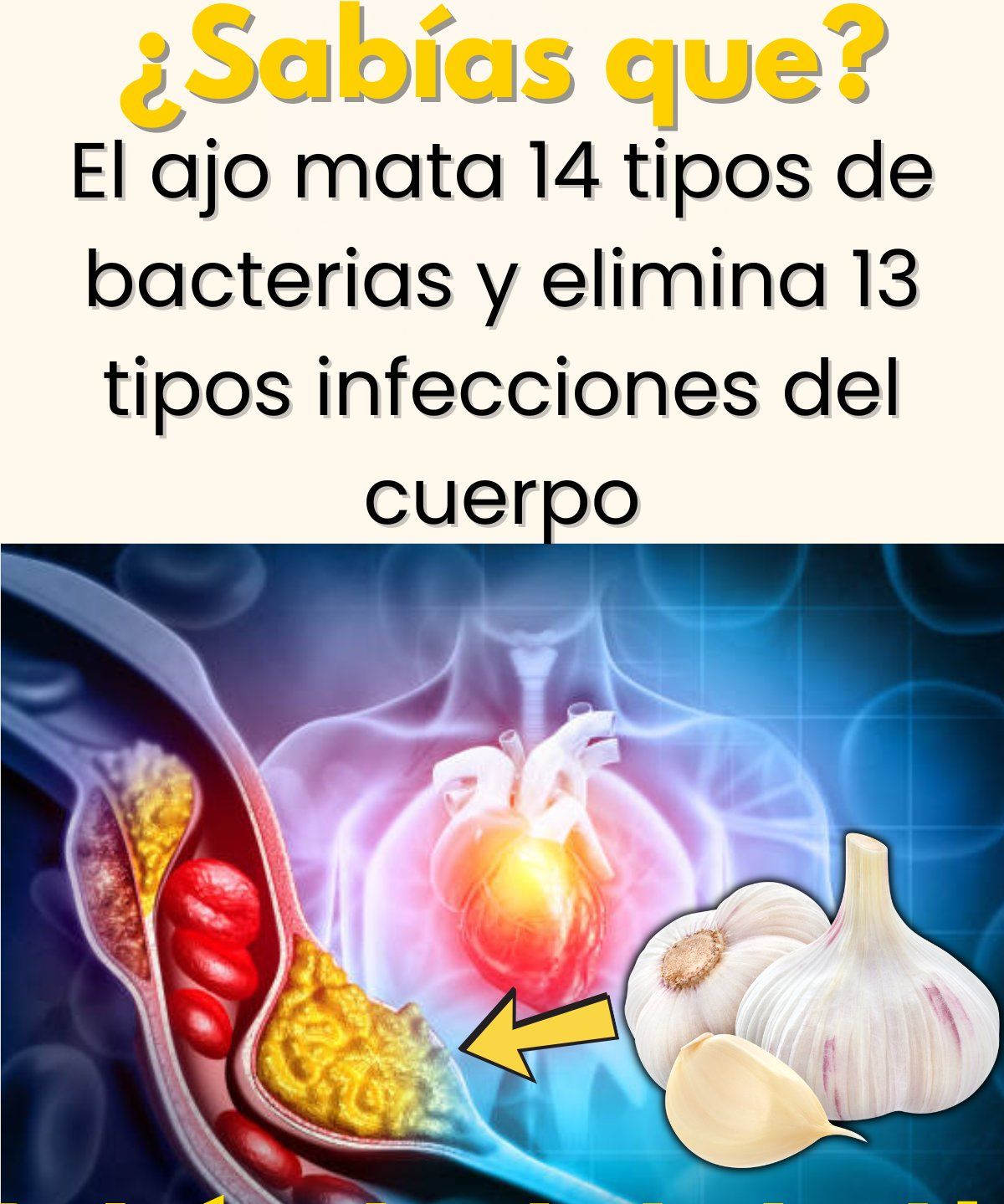 Infografía sobre los beneficios del ajo