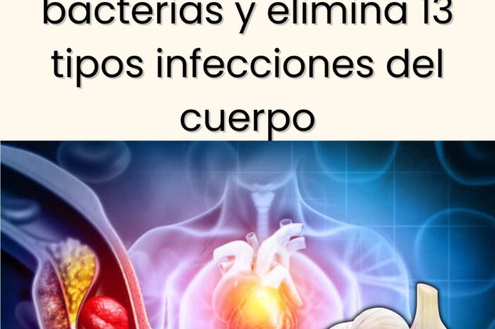 El Ajo: Un Antibiótico Natural para Combatir Bacterias e Infecciones
