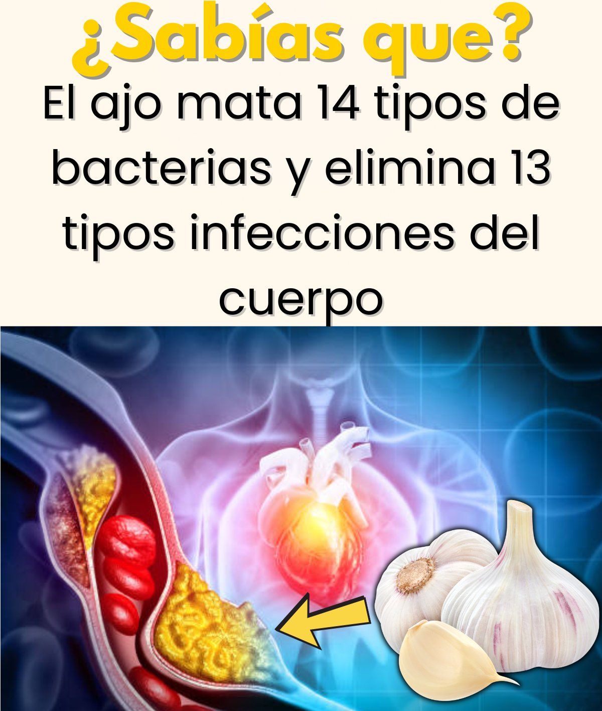 Beneficios del ajo para la salud