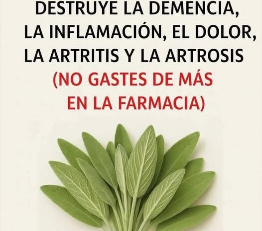 Salvia: Un Remedio Natural para Combatir Demencia, Inflamación y Artritis