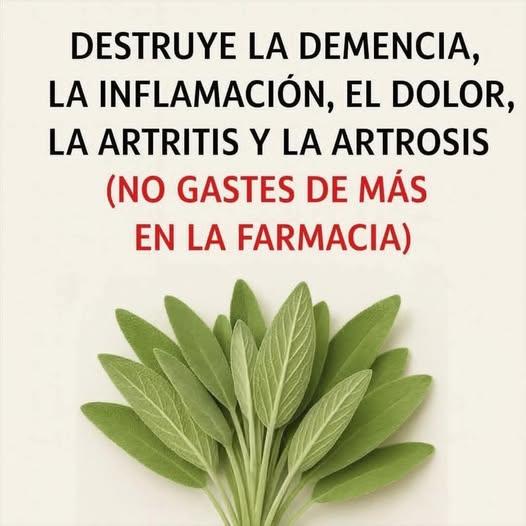 Beneficios de la salvia para la salud