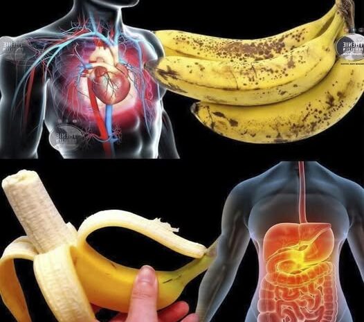 Los Sorprendentes Beneficios de Comer Dos Plátanos al Día Durante un Mes