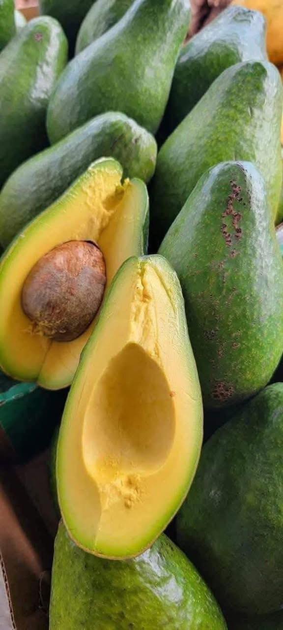 Aguacates frescos y saludables