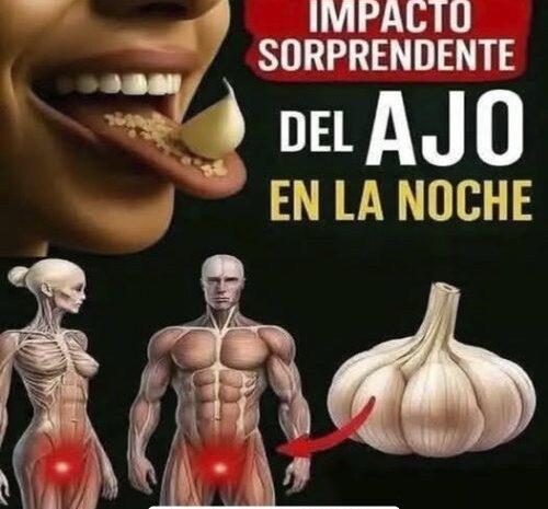 Come Un Diente de Ajo Todos los Días y Transforma Tu Salud