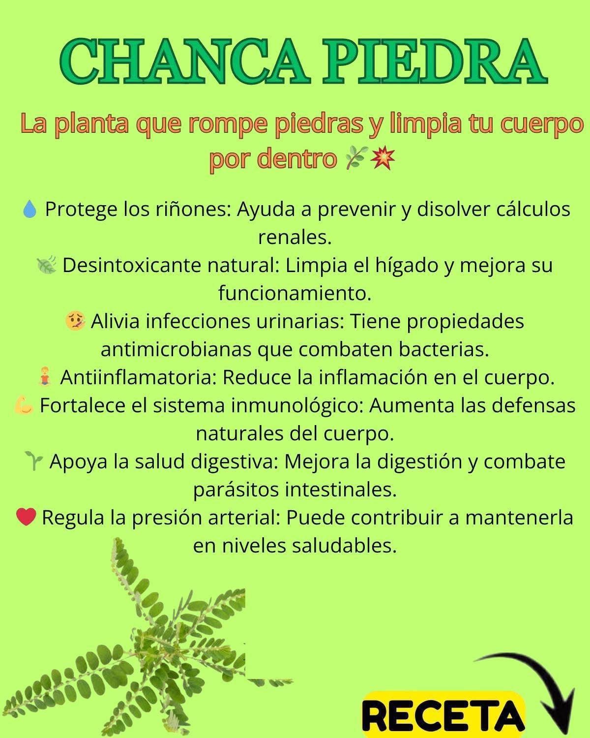 Chanca Piedra