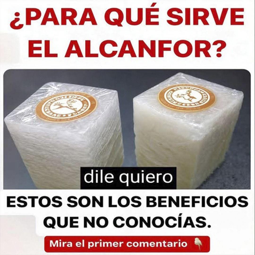 Bloques de alcanfor