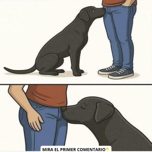 Perro oliendo partes privadas