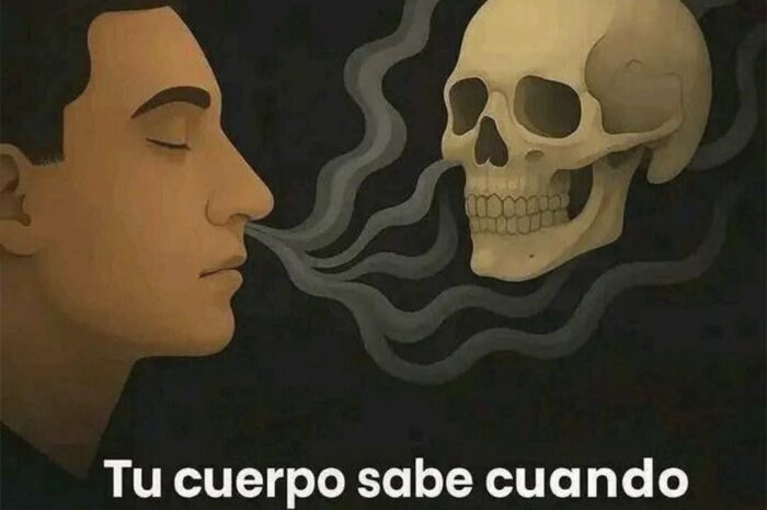 La Sabiduría Silenciosa del Cuerpo: Señales de la Muerte y Remedios Naturales