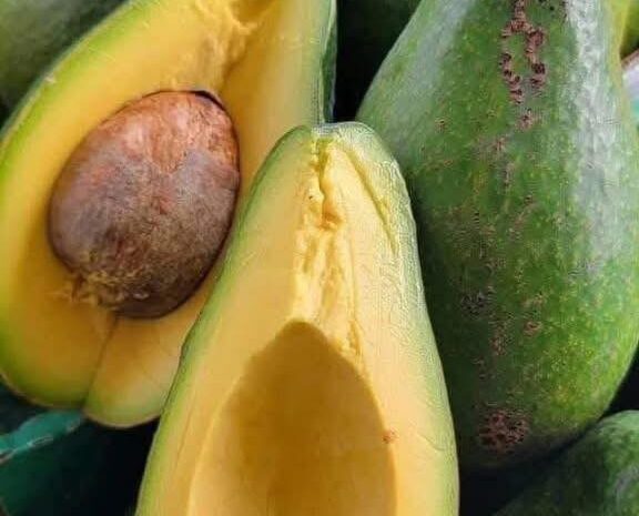 Los Sorprendentes Beneficios del Aguacate para tu Corazón y Tu Cerebro