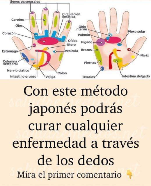 Gráfico de manos y órganos del cuerpo