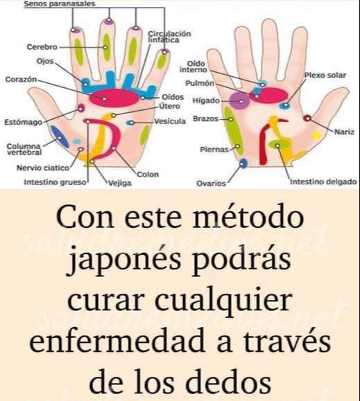 Diagrama de los dedos y sus correspondencias en el cuerpo