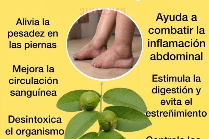 Beneficios del Té de Hojas de Guayaba para la Salud