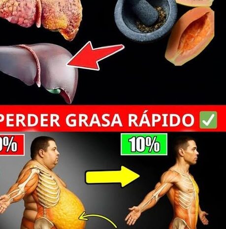 Las Semillas de Papaya: Un Secreto Saludable para Tu Bienestar