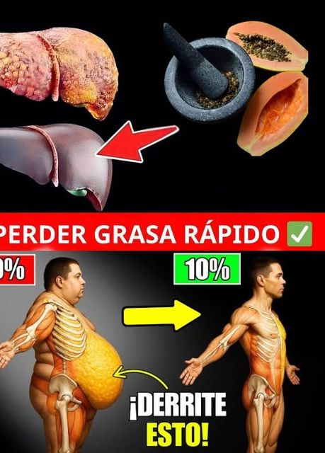 Papaya y sus Semillas