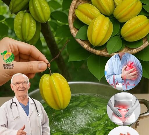 Los Beneficios Sorprendentes de las Hojas de Carambola para tu Salud