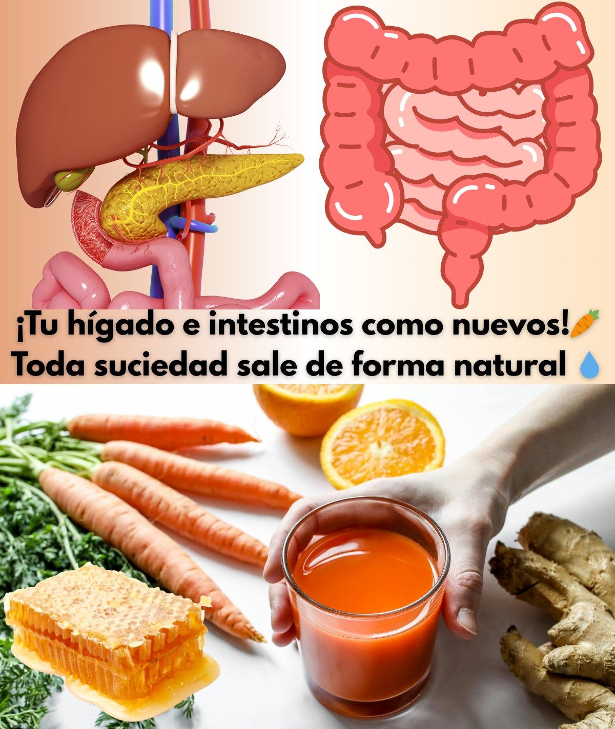 Ingredientes para limpiar el hígado e intestinos