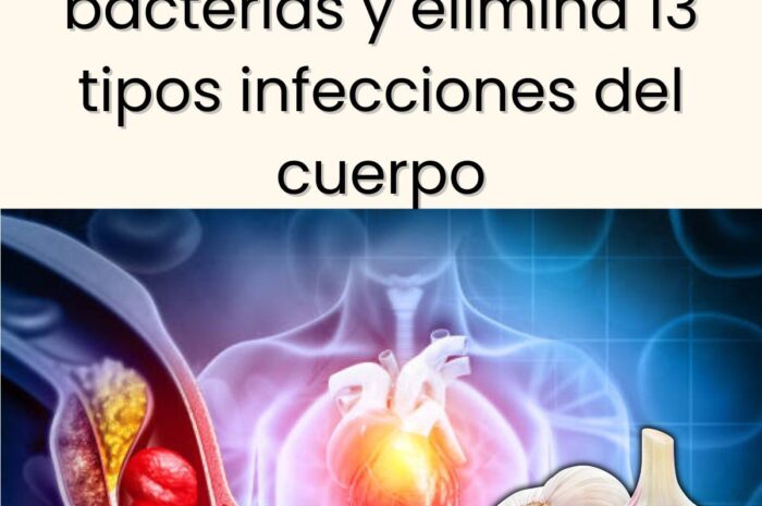 El Ajo: Un Poderoso Antibiótico Natural para Mejorar Tu Salud