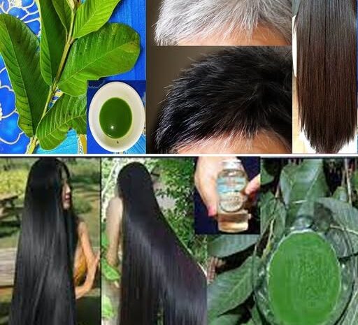 De Canas a Cabello Negro de Forma Natural con Hojas de Guayaba