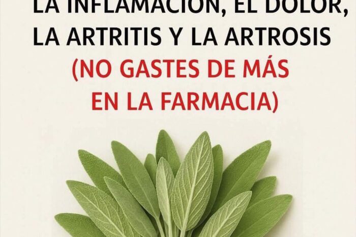 Combatir la Demencia, Artritis y Migraña de Forma Natural con Salvia
