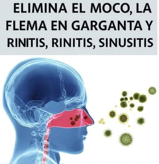 Vías respiratorias