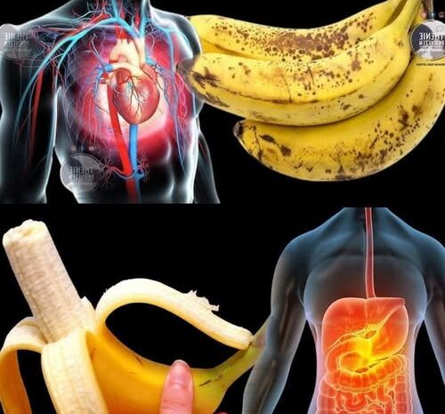Descubre los Beneficios de Comer Dos Plátanos al Día Durante un Mes