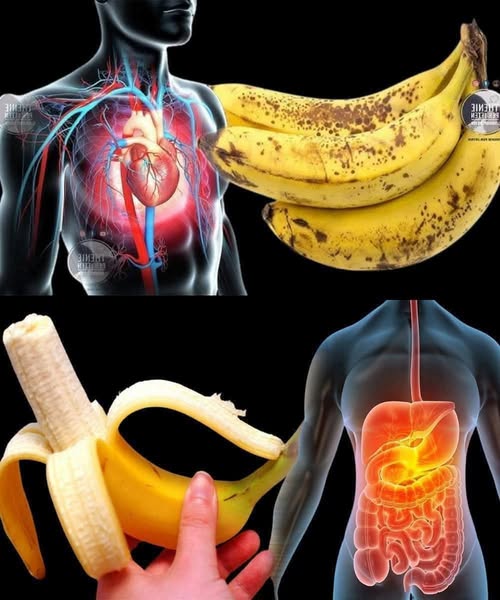 Beneficios del Plátano
