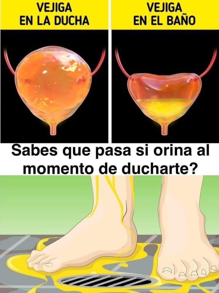 Vejiga en la ducha