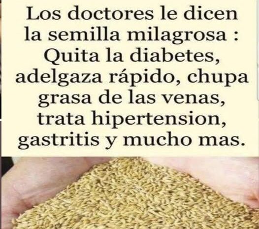 Descubre los Beneficios del Alpiste: La Semilla Milagrosa para tu Salud