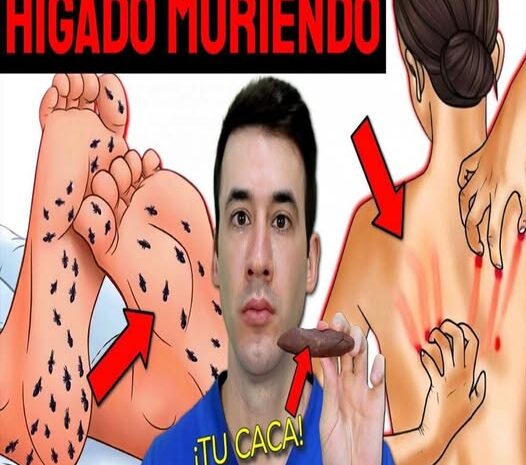 Señales Tempranas de Daño Hepático: ¿Cómo Cuidar Tu Hígado Naturalmente?