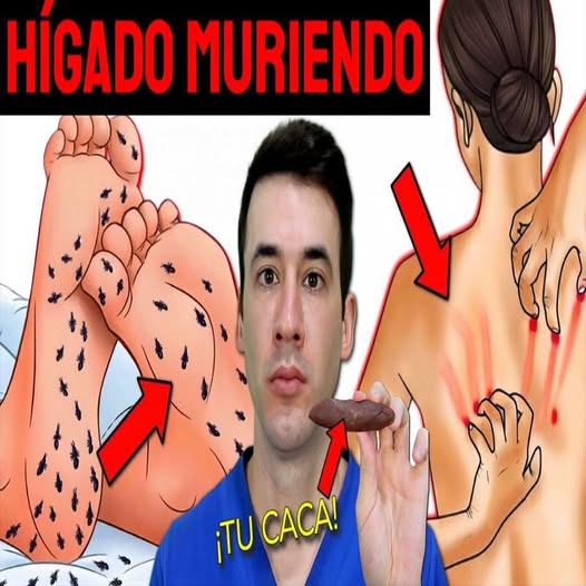 Señales de daño hepático