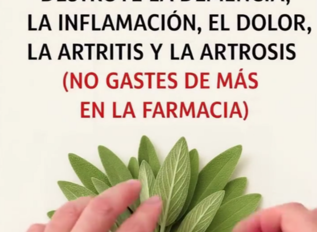 Los Poderes Curativos de la Salvia: Combate la Demencia, Inflamación y Artritis de Forma Natural
