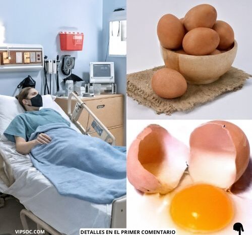 Los Beneficios del Consumo Diario de Huevo para la Salud