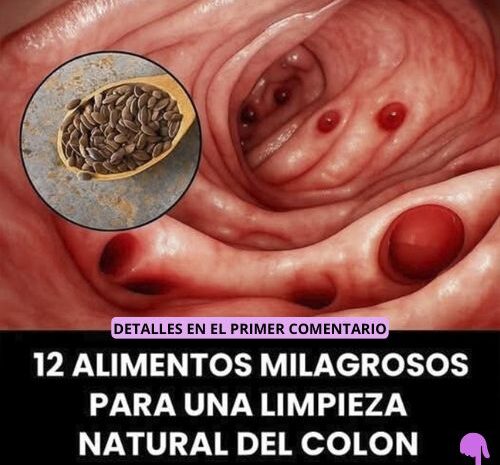 12 Alimentos Milagrosos para una Limpieza Natural del Colon