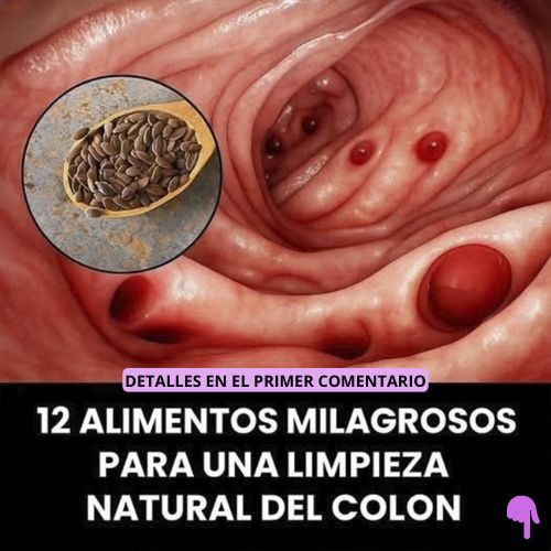 Alimentos para limpieza del colon