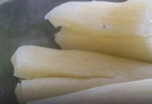 Yuca: Beneficios, Riesgos y Cómo Consumirla de Forma Segura