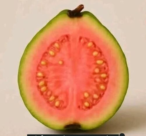 Beneficios del Té de Hoja de Guayaba: Un Remedio Natural para la Salud