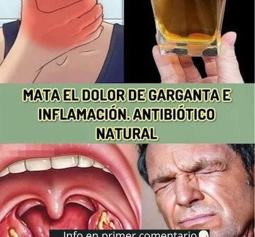 Alivia el Dolor de Garganta con Antibióticos Naturales