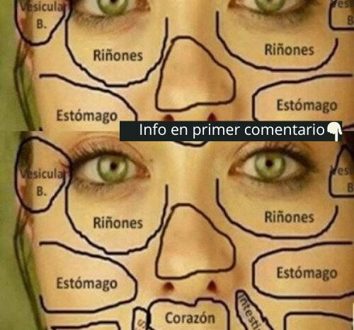 Conoce la Conexión entre tu Rostro y tu Salud: La Reflexología Facial