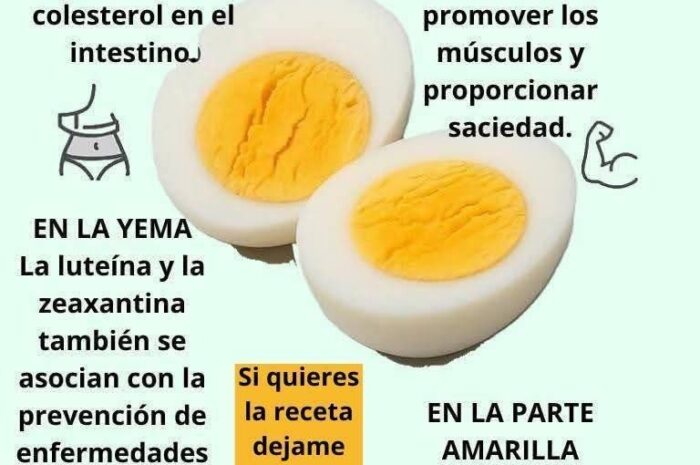 Beneficios del Huevo Hervido: Superalimento Nutricional