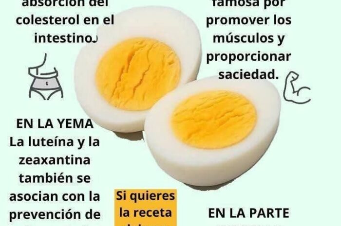 Beneficios Nutricionales del Huevo Hervido: Yema y Clara