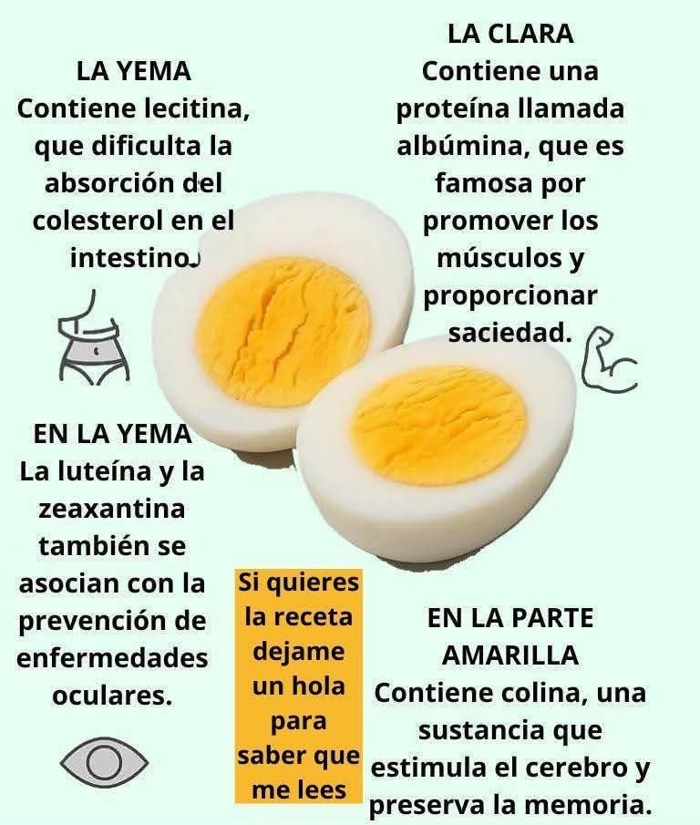 Propiedades nutricionales del huevo