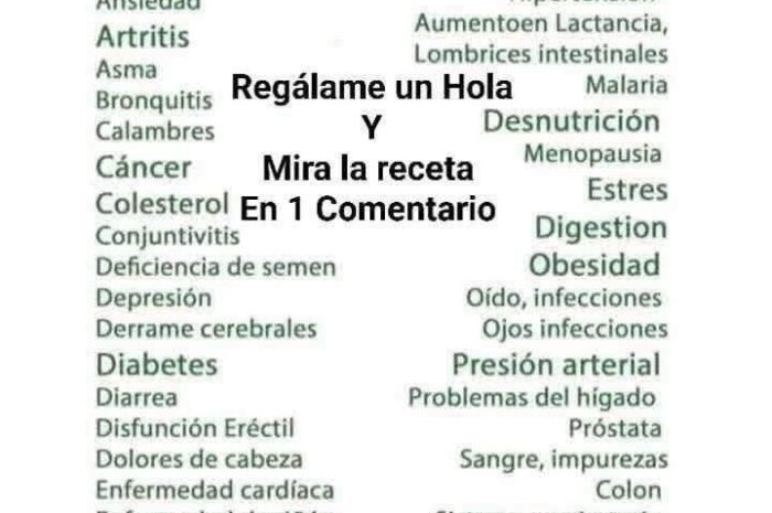 Descubre la Moringa: Receta Tradicional y sus Asombrosas Propiedades para Mejorar la Salud