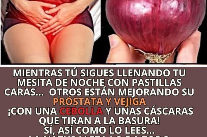 Cuidando Tu Próstata y Vejiga con Remedios Naturales