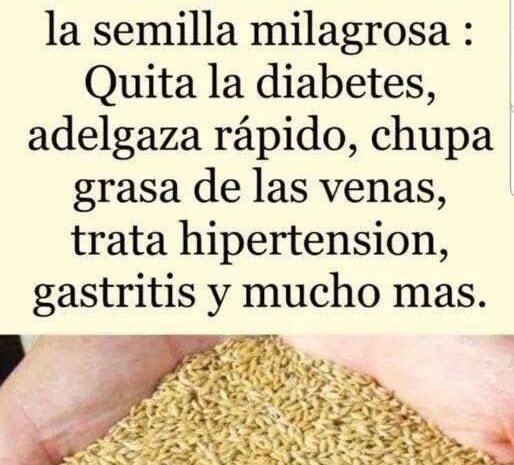 La Semilla Milagrosa: Un Aliado Natural para la Salud