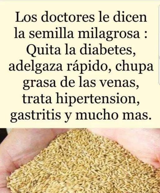 Manos sosteniendo semillas milagrosas