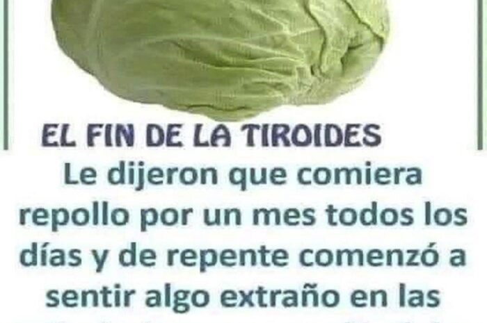 Los Beneficios y Precauciones del Repollo para la Tiroides