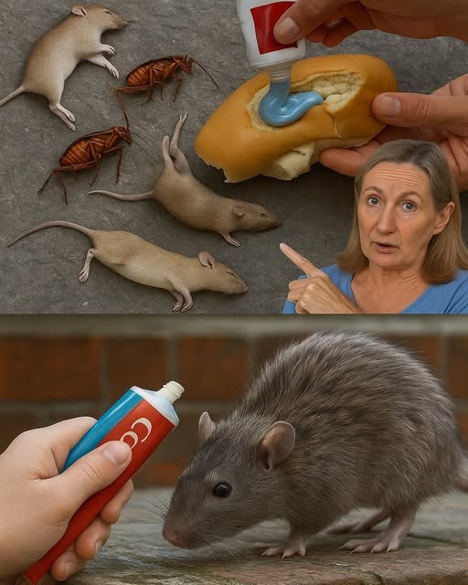 Método Casero para Eliminar Plagas