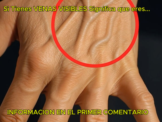 ¿Por qué tienes venas visibles? Todo lo que necesitas saber